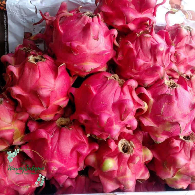 

Buah Naga Super Naga Segar 1 kg Buah Segar Cikarang Buah Naga Cikarang Buah Murah Cikarang