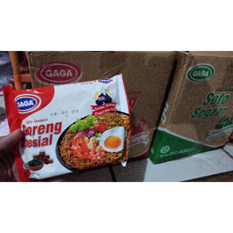 

mie goreng spesial GAGA