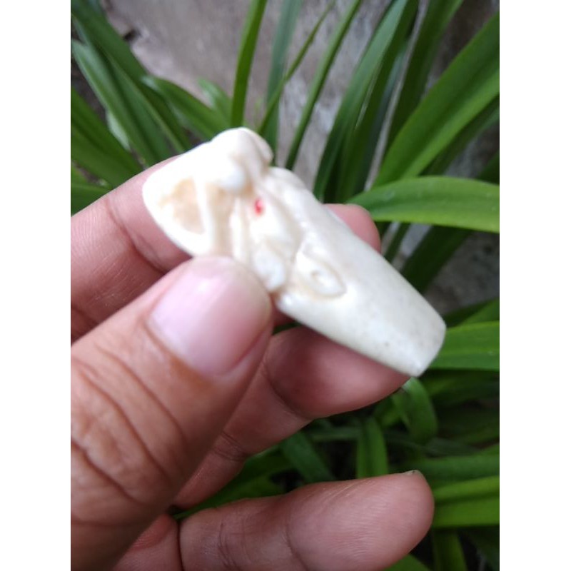 PIPA ONCE IGA DUYUNG UKIR IMUT