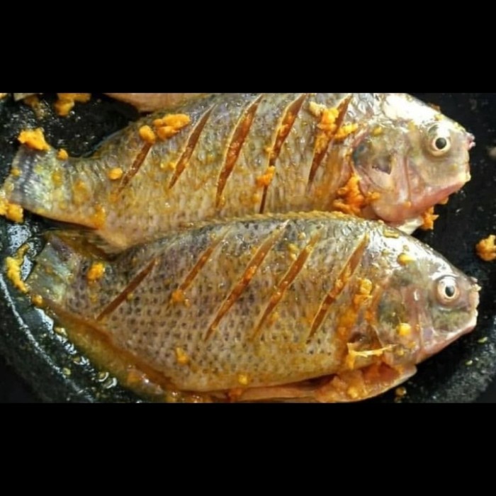 

Gurame Super Siap Saji - 500gr