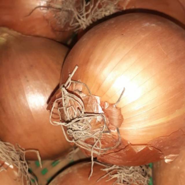 

Bawang Bombay