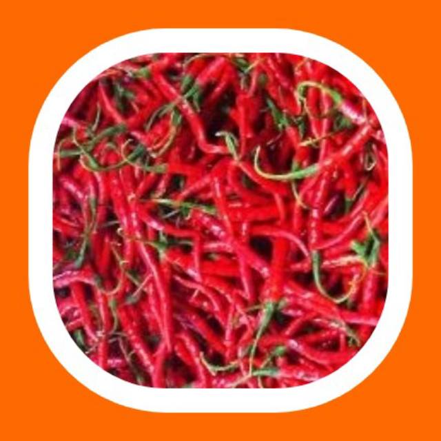 

Cabe merah keriting/SAYURAN SEGAR TERMURAH