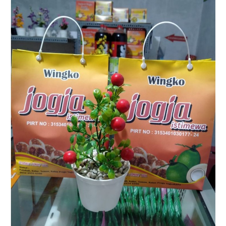 

Wingko Jogja isi 12 piece