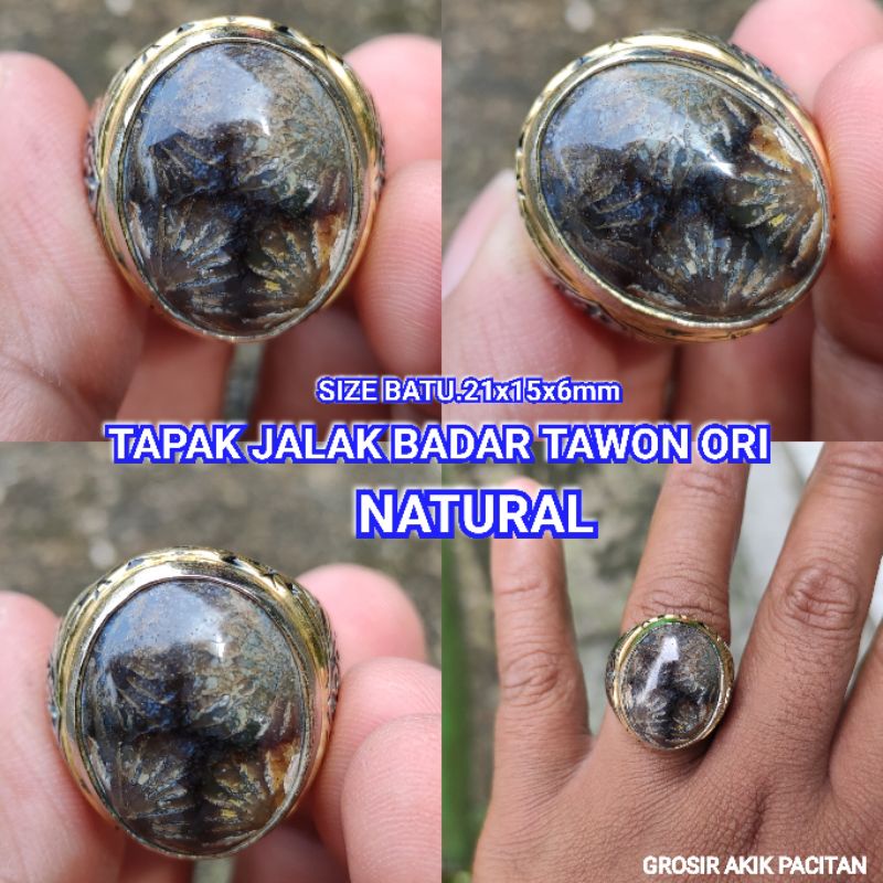 TAPAK JALAK ORIGINAL NATURAL UNIK
