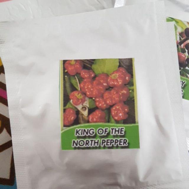Biji Cabe king Of The North Pepper Seeds