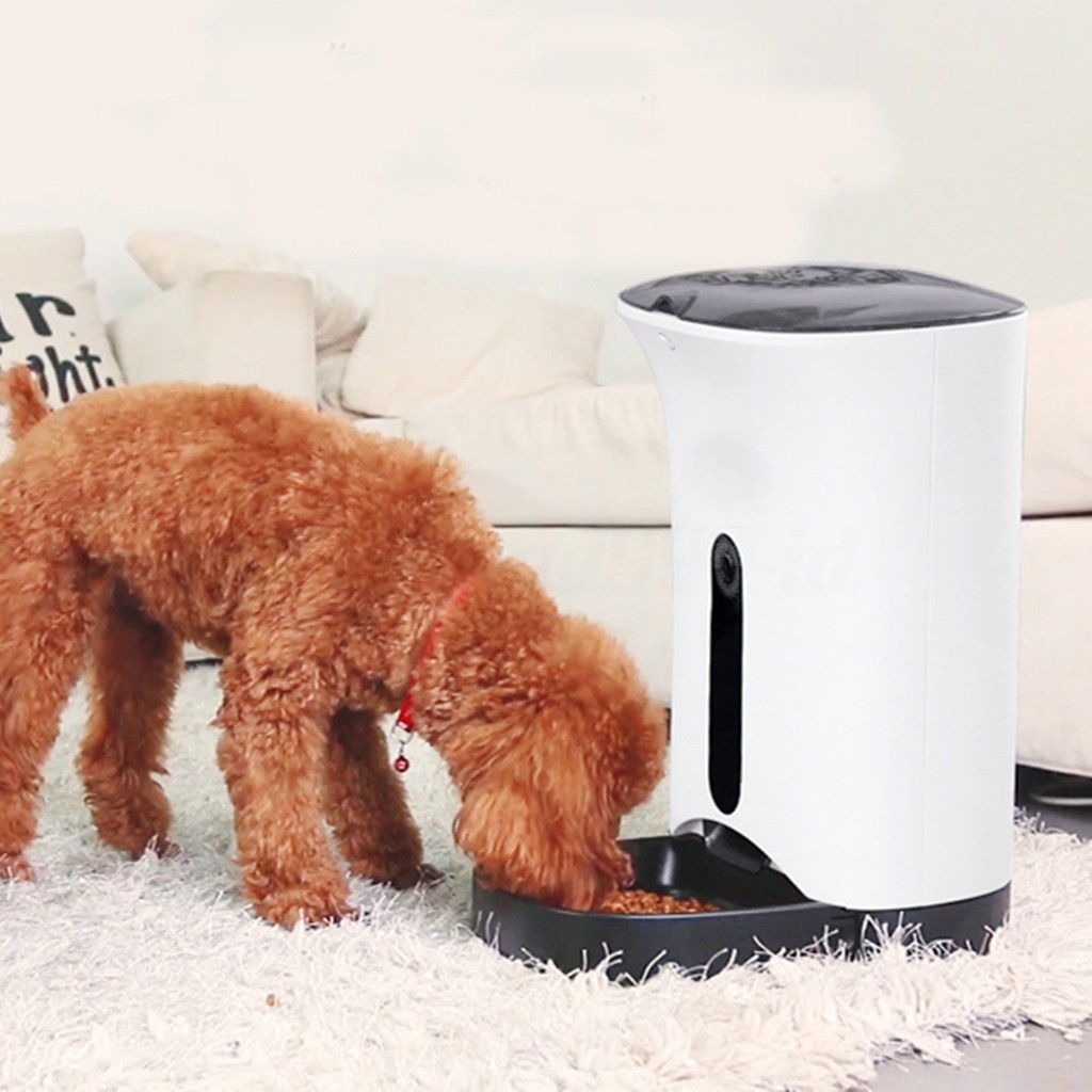 Gd Automatic Pet Feeder For Cat Dog Ios Android App Wifi Cam