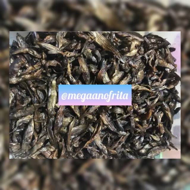 

IKAN SALAI KECIL 500 GRAM