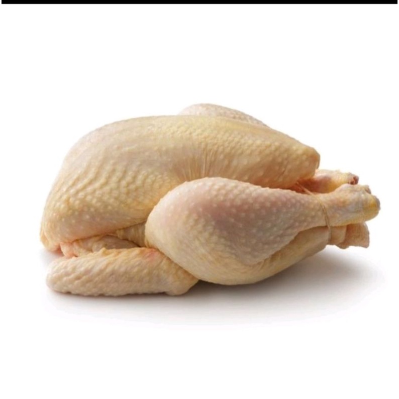 

ayam broiler potong 1-1,3kg