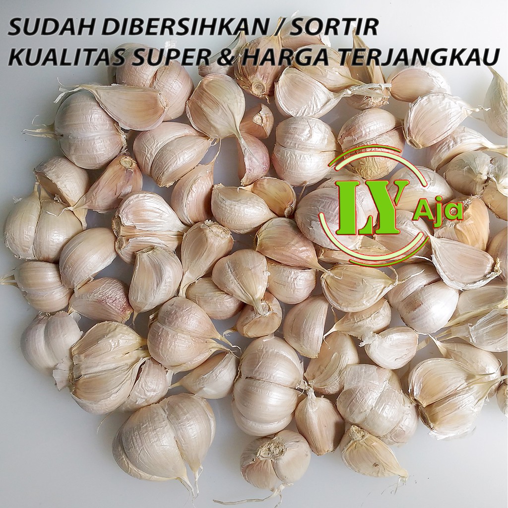 Bawang Putih Kating BERSIH Pretelan 500 Gram Kualitas Super LY Aja 500 Gr