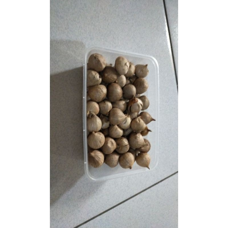 

Bawang Garlic Tunggal