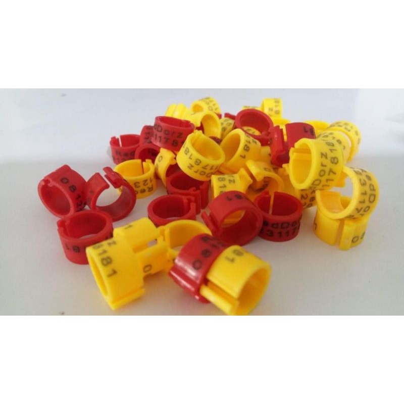 RING kLIP BUAT MERPATI TERMURAH BISA REQUES NAMA.. BAHAN IMPORT