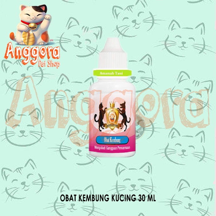 Obat untuk Pencernaan Perut Kucing dan Anjing Kembung Raid All 30 ml