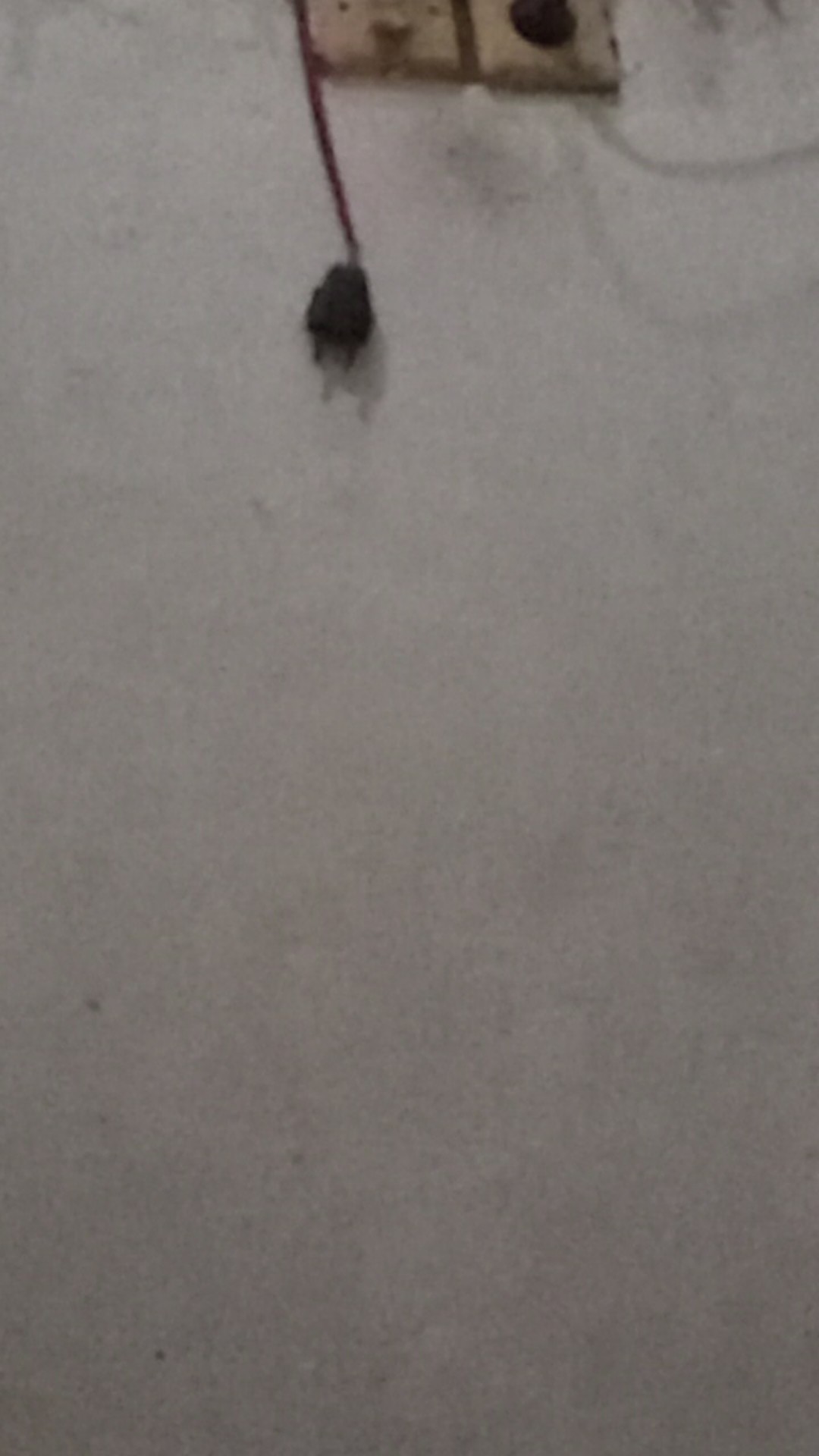 Pisau Set Dapur 5 Pcs Hitam Extra Tajam - Fruti Knife Set