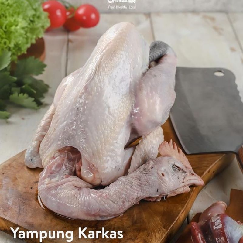 

ayam kampung probiotik