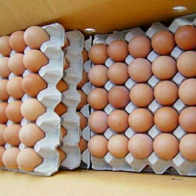 

Telur ayam 1 Paket: 5 kg (Rp. 27.500/Kilo) telur segar. berkualitas