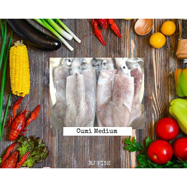 

Cumi Cumi Fresh Medium Utuh RJ Fish 1kg