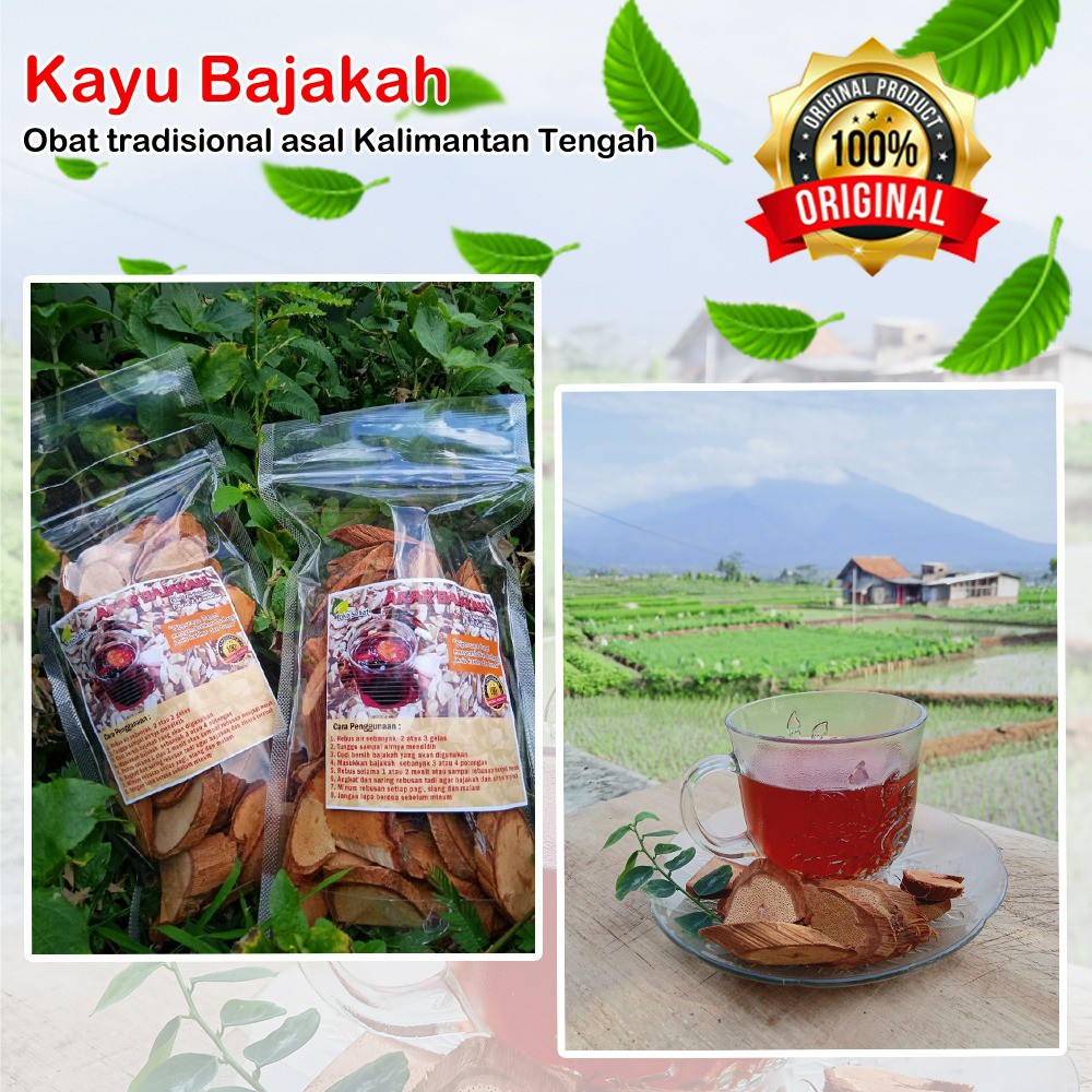 Akar Kayu Bajakah Asli 100% kalimantan