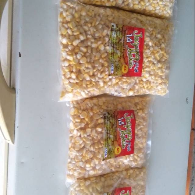 Jagung pipil