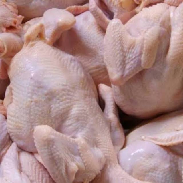 

Ayam Tg satu ekor,berat 500 grm/ khusu bandung