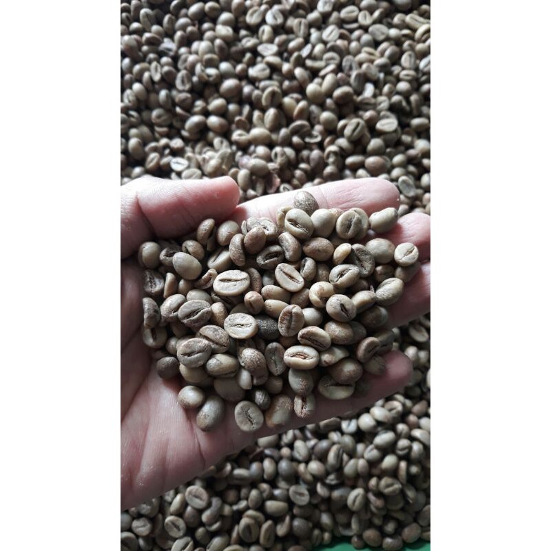 

Biji Kopi / GreenBean Robusta Petik Merah Kualitas Premium