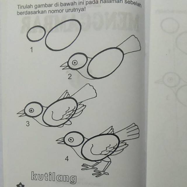9800 Sketsa Gambar Burung Kutilang Terbaik