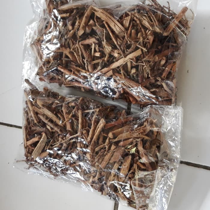 

Terbaik Terbaik Akar Pinang Kering 1.000 gram