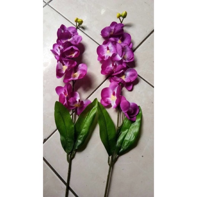 Anggrek plastik pot plastik