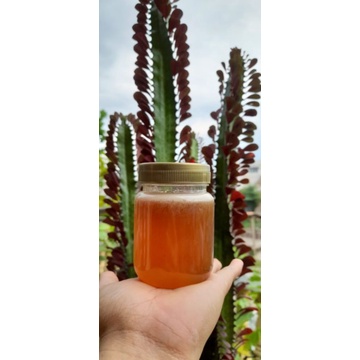 

Madu Asli Madu Manis untuk kesehatan dan masker kecantikan