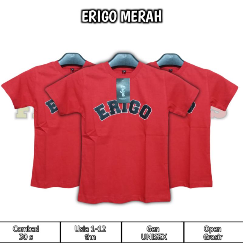 KAOS ERIGO ANAK