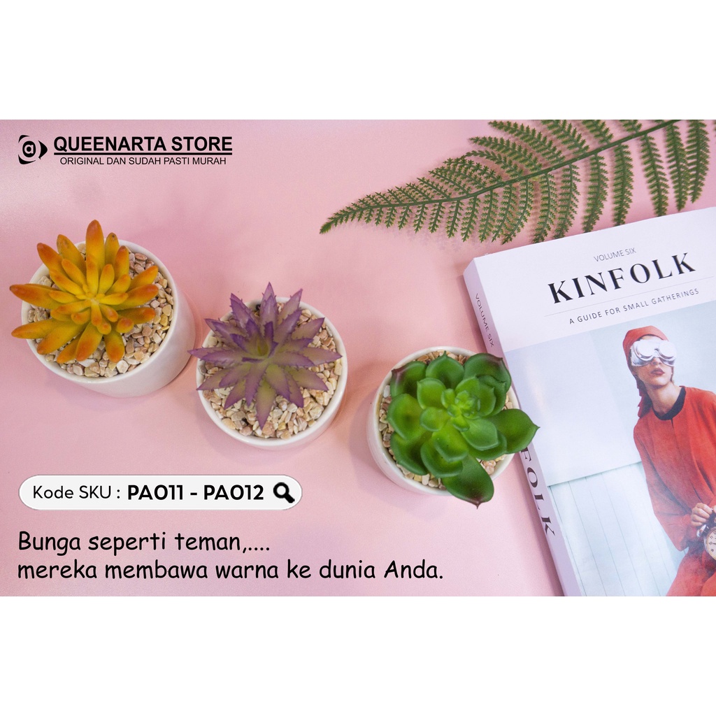 Queenarta Sukulen Mini Jenis Tanaman Kaktus dan Bunga Hias Plastik Pot Keramik Buat Dekorasi Rumah K