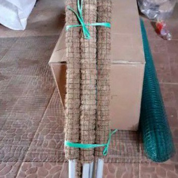 terus tongkat alat  rambat  penyanggah tanaman rambat