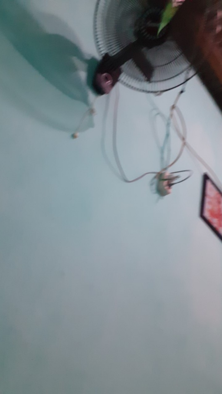 Ls 619 - Alat Pengupas Buah / Sayur / Alat Dapur