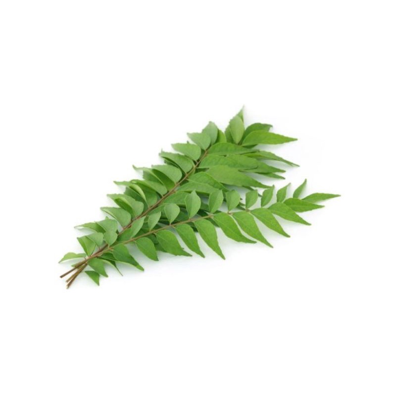 

Jual Daun Kari Segar