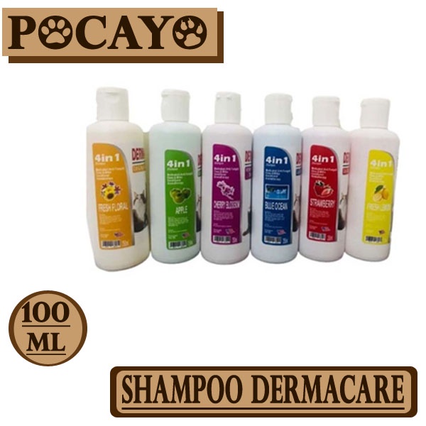 Shampoo DERMA CARE 100ml All Varian