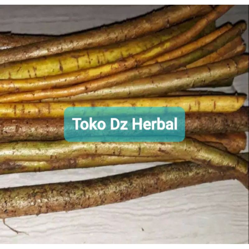 

Akar tuba segar 1 kg pestisida organik-az