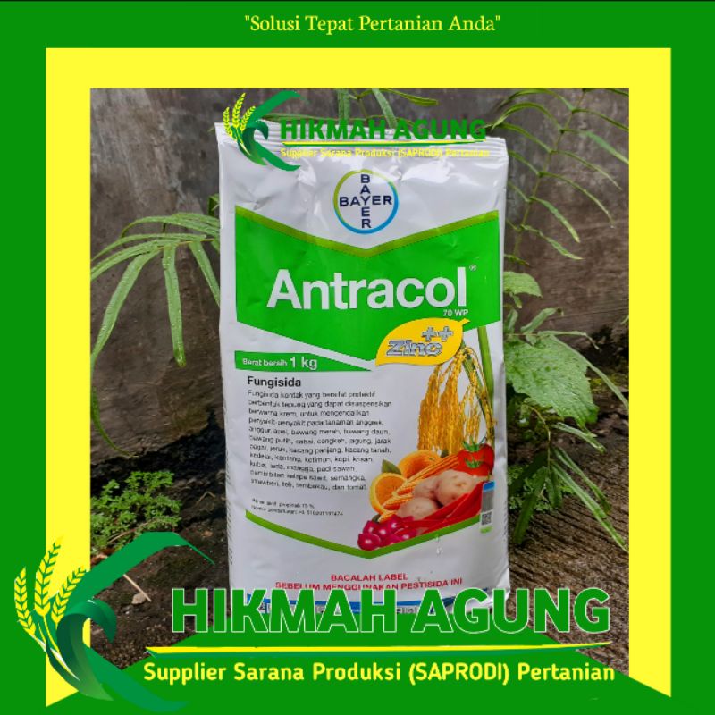 

ANTRACOL 70WP + ZINC 1KG - PROPINET 70% FUNGISIDA