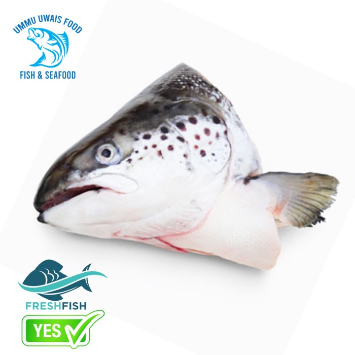 

Kepala Ikan Salmon Segar - 1 Kilogram