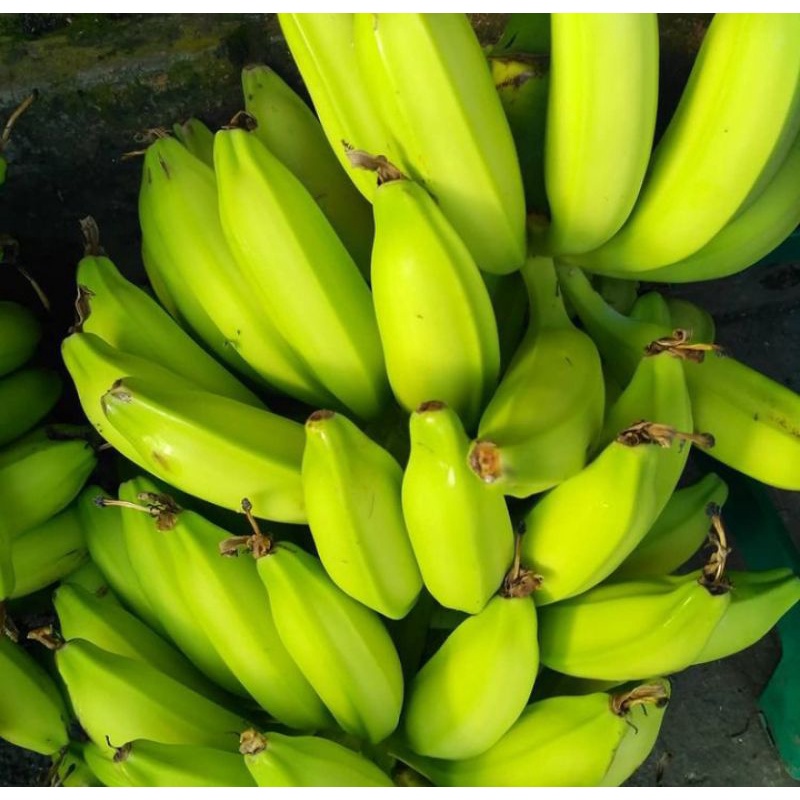 

BUAH PISANG BATU / PISANG KLUTUK 1 SISIR
