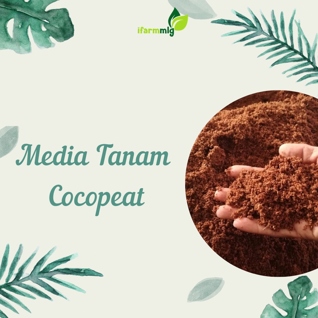 

Media Tanam - Medtam - Metam - Cocopeat Sabut Kelapa Halus 250gram Untuk Polybag