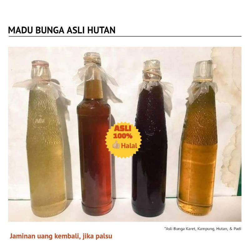 

MADU ASLI HUTAN - RANDOM BUNGA MADU ASLI KALIMANTAN