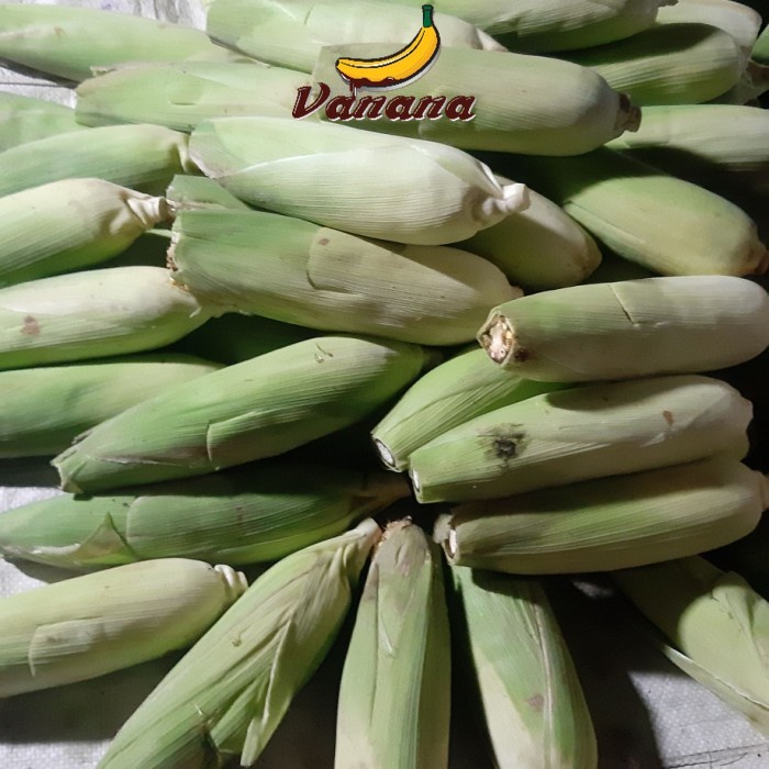 

VANANA Jagung 3 pcs