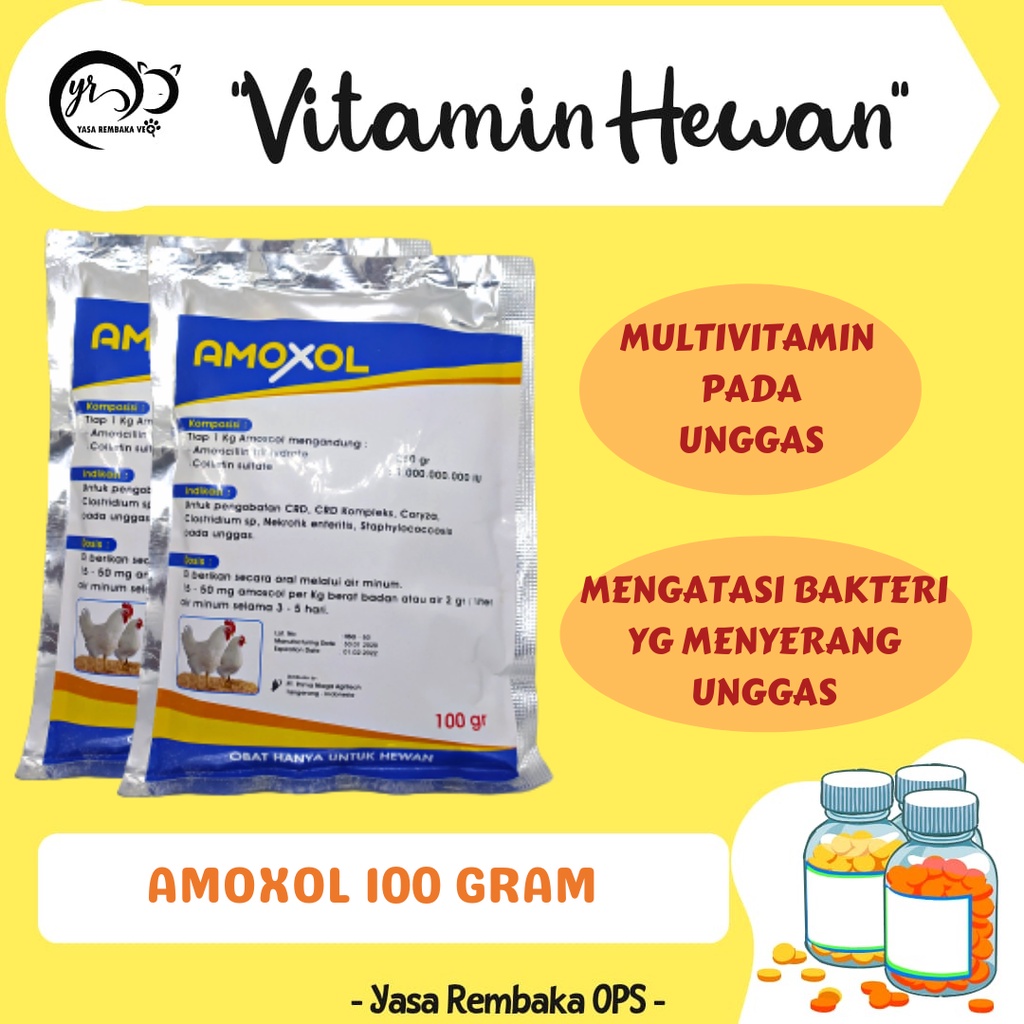Antibiotik Serbuk 100 gr untuk Unggas - Amoxicillin Colistin