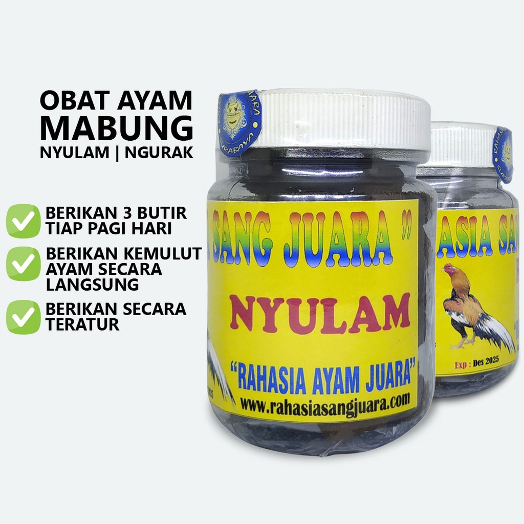 NYULAM AYAM - OBAT AYAM MABUNG NGURAK GANTI BULU