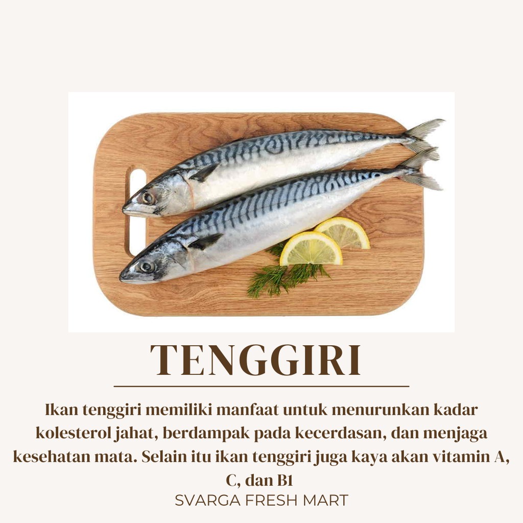 

Tenggiri Fresh