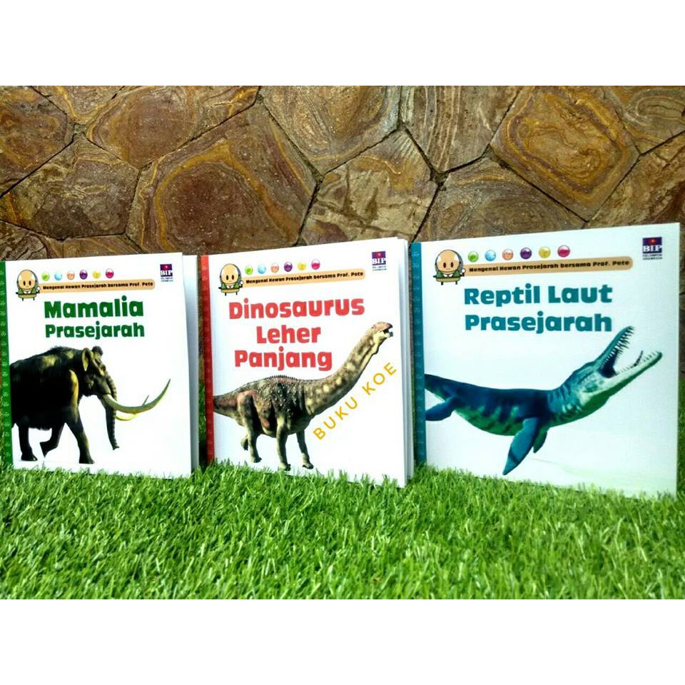 Seri Cerita Anak Hewan Buaya Gajah Harimau Merpati Ayam Seri Cerita Anak Hewan Buaya Gajah Harimau Merpati Ayam