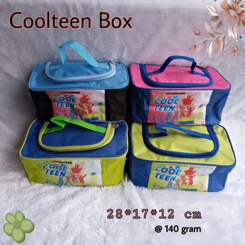 Tas coolteenbox  ( sleting ory bunga es )