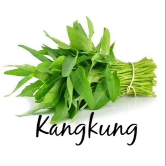 

Sayur Kangkung 1 Ikat