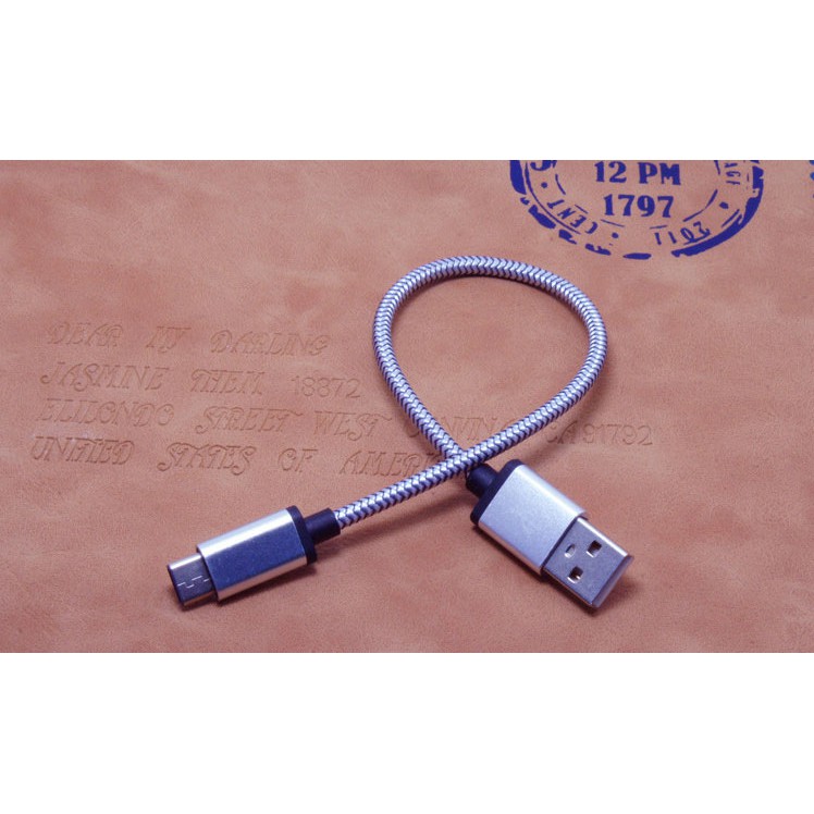 Dragon Line Kabel USB Type C 27cm - Silver