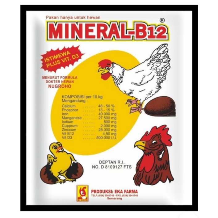 mineral B12 multivitamin dan mineral-eka farma