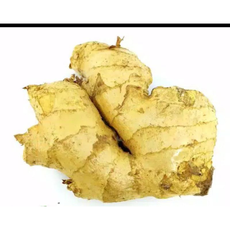 

jahe gajah bessar 250gr